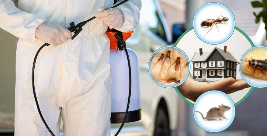 Kadınhanı Böcek İlaçlama