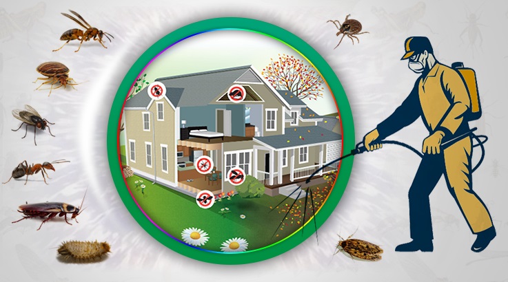 Kadınhanı Böcek İlaçlama