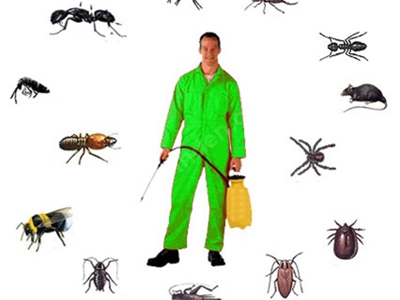 Kadınhanı Böcek İlaçlama