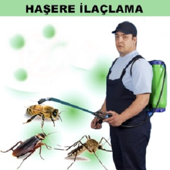 Kadınhanı Böcek İlaçlama